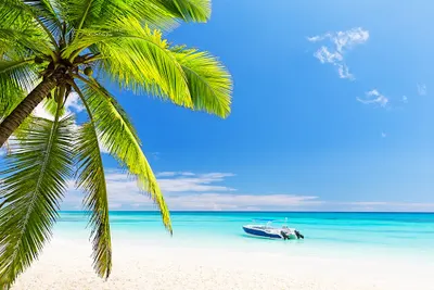 Biuro Podróży Taxer Travel Ruda Śląska